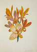 Mon Jardin à Ceylan Pl050 - George De Alwis — artwork view
