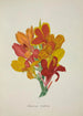 Mon Jardin à Ceylan Pl052 - George De Alwis — artwork view