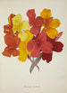 Mon Jardin à Ceylan Pl053 - George De Alwis — artwork view