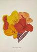 Mon Jardin à Ceylan Pl054 - George De Alwis — artwork view