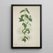 Mon Jardin à Ceylan Pl055 - George De Alwis — framed artwork on a wall