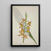 My Garden in Ceylon Pl058 - George De Alwis — framed artwork on a wall