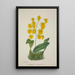 Mon Jardin à Ceylan Pl061 - George De Alwis — framed artwork on a wall
