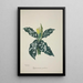 Mon Jardin à Ceylan Pl063 - George De Alwis — framed artwork on a wall