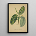Mon Jardin à Ceylan Pl064 - George De Alwis — framed artwork on a wall