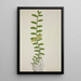 Mon Jardin à Ceylan Pl066 - George De Alwis — framed artwork on a wall