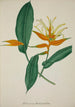 Mon Jardin à Ceylan Pl068 - George De Alwis — artwork view