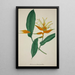 Mon Jardin à Ceylan Pl068 - George De Alwis — framed artwork on a wall