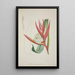My Garden in Ceylon Pl069 - George De Alwis — framed artwork on a wall