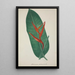 Mon Jardin à Ceylan Pl070 - George De Alwis — framed artwork on a wall