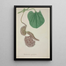Mon Jardin à Ceylan Pl072 - George De Alwis — framed artwork on a wall