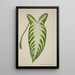 My Garden in Ceylon Pl081 - George De Alwis — framed artwork on a wall