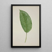 Mon Jardin à Ceylan Pl086 - George De Alwis — framed artwork on a wall