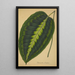 Mon Jardin à Ceylan Pl088 - George De Alwis — framed artwork on a wall