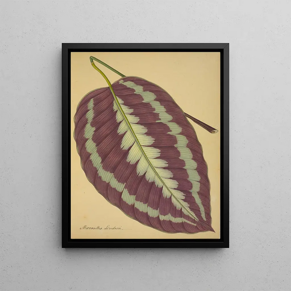 George De Alwis - Mon Jardin a Ceylan Pl089.webp
