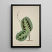 Mon Jardin à Ceylan Pl093 - George De Alwis — framed artwork on a wall