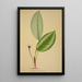 Mon Jardin à Ceylan Pl096 - George De Alwis — framed artwork on a wall