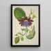 My Garden in Ceylan Pl099 - George De Alwis — framed artwork on a wall
