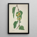 Mon Jardin à Ceylan Pl100 - George De Alwis — framed artwork on a wall