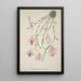 My Garden in Ceylon Pl101 - George De Alwis — framed artwork on a wall
