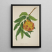 My Garden in Ceylon Pl103 - George De Alwis — framed artwork on a wall