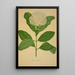 My Garden in Ceylon Pl107 - George De Alwis — framed artwork on a wall