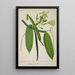 Mon Jardin à Ceylan Pl114 - George De Alwis — framed artwork on a wall