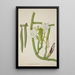 Mon Jardin à Ceylan Pl115 - George De Alwis — framed artwork on a wall