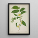 Mon Jardin à Ceylan Pl121 - George De Alwis — framed artwork on a wall