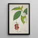Mon Jardin à Ceylan Pl122 - George De Alwis — framed artwork on a wall