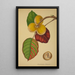 Mon Jardin à Ceylan Pl125 - George De Alwis — framed artwork on a wall