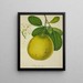 Mon Jardin à Ceylan Pl134 - George De Alwis — framed artwork on a wall