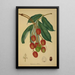 Mon Jardin à Ceylan Pl137 - George De Alwis — framed artwork on a wall