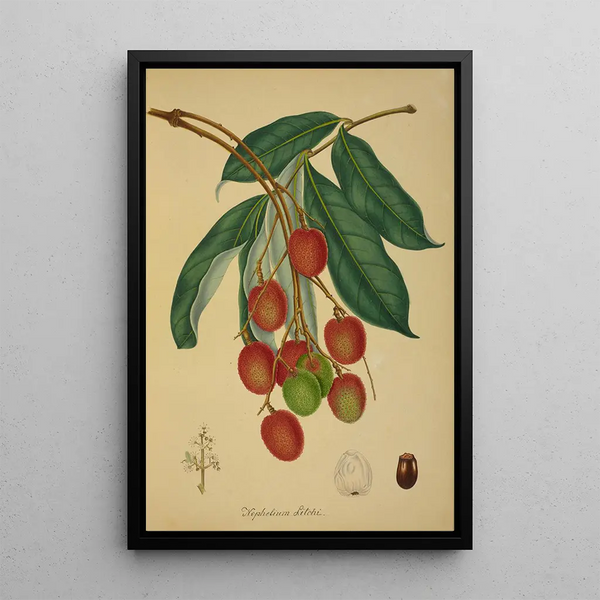 George De Alwis - Mon Jardin a Ceylan Pl137.webp
