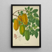 Mon Jardin à Ceylan Pl140 - George De Alwis — framed artwork on a wall