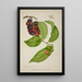 Mon Jardin à Ceylan Pl141 - George De Alwis — framed artwork on a wall