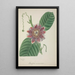 Mon Jardin à Ceylan Pl145 - George De Alwis — framed artwork on a wall