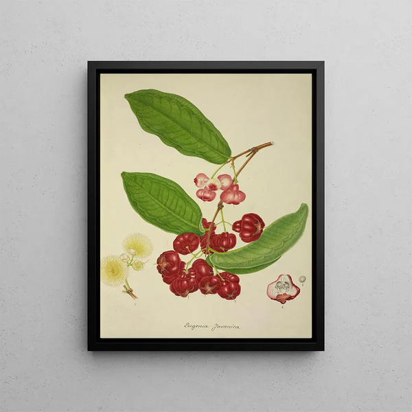 George De Alwis - Mon Jardin a Ceylan Pl148.webp