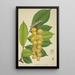 Mon Jardin à Ceylan Pl150 - George De Alwis — framed artwork on a wall