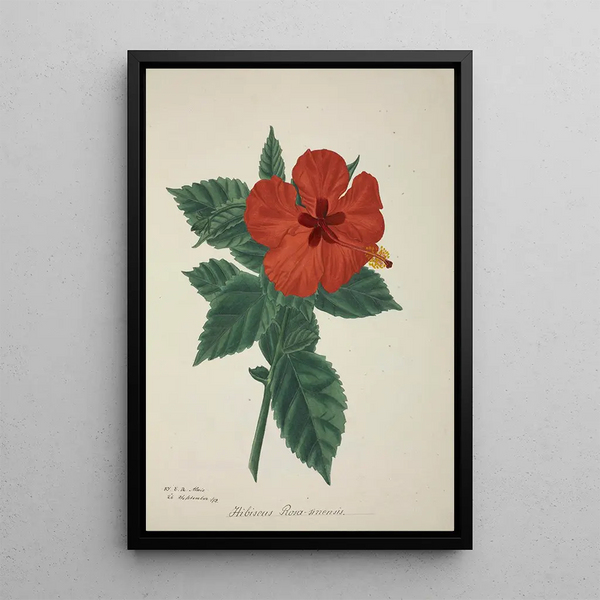 George De Alwis - Mon Jardin a Ceylan Pl158.webp
