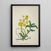 Mon Jardin à Ceylan Pl159 - George De Alwis — framed artwork on a wall