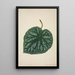 My Garden in Ceylon Pl161 - George De Alwis — framed artwork on a wall