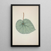 My Garden in Ceylon Pl162 - George De Alwis — framed artwork on a wall