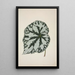 My Garden in Ceylon Pl163 - George De Alwis — framed artwork on a wall