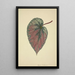 Mon Jardin à Ceylan Pl165 - George De Alwis — framed artwork on a wall