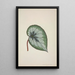 Mon Jardin à Ceylan Pl166 - George De Alwis — framed artwork on a wall
