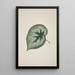 My Garden in Ceylan Pl167 - George De Alwis — framed artwork on a wall