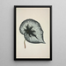 My Garden in Ceylon Pl168 - George De Alwis — framed artwork on a wall