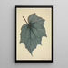 My Garden in Ceylon Pl171 - George De Alwis — framed artwork on a wall