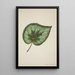 Mon Jardin à Ceylan Pl172 - George De Alwis — framed artwork on a wall